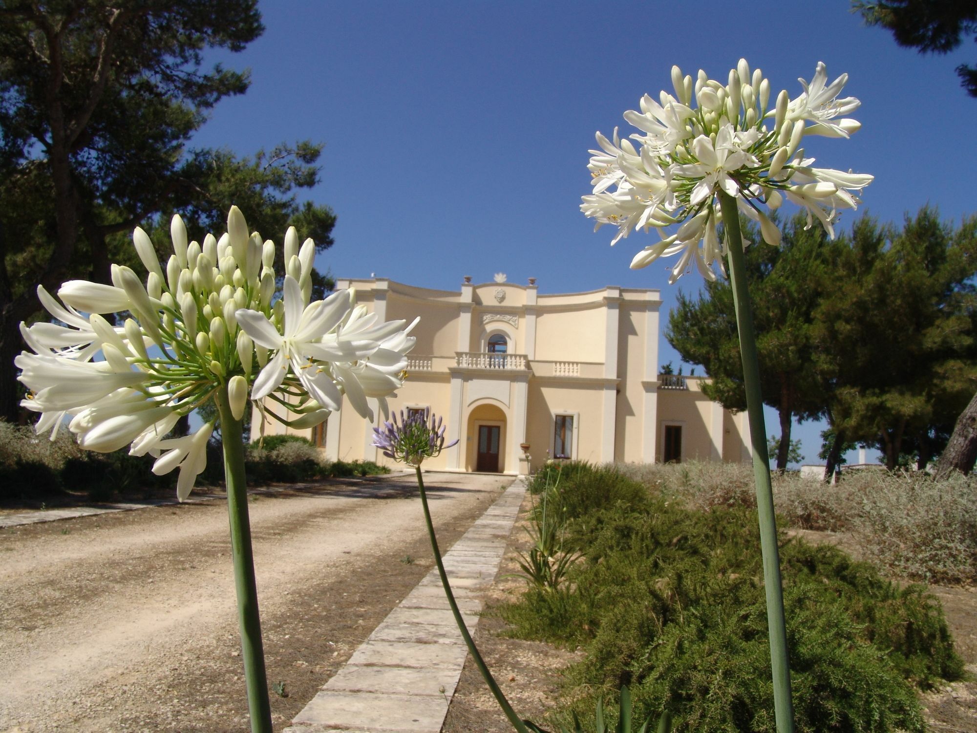 Tenuta Nucci Relais Hotel Nardo Exterior photo